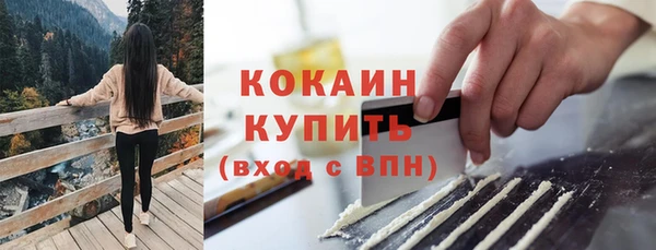 mix Богородск