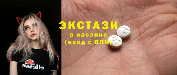 спиды Богородицк