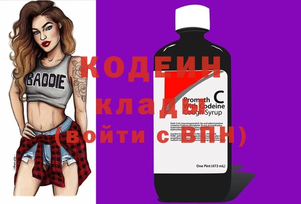спиды Богородицк