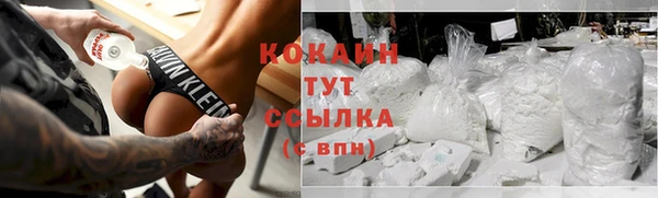 спиды Богородицк