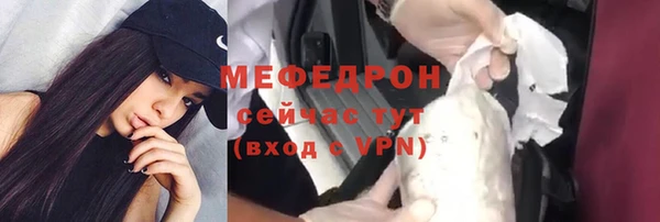 спиды Богородицк