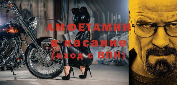 спиды Богородицк