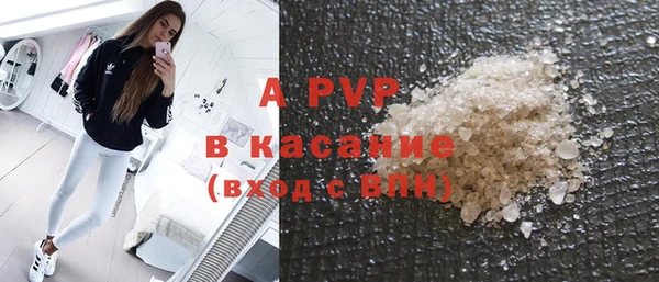 спиды Богородицк