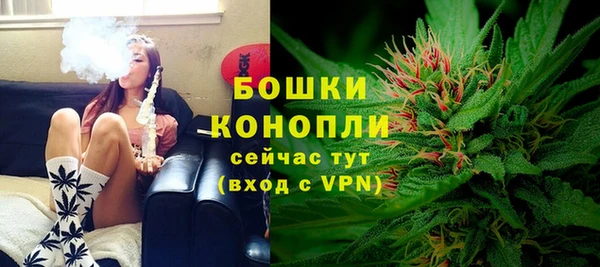 спиды Богородицк