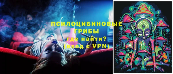 mix Богородск