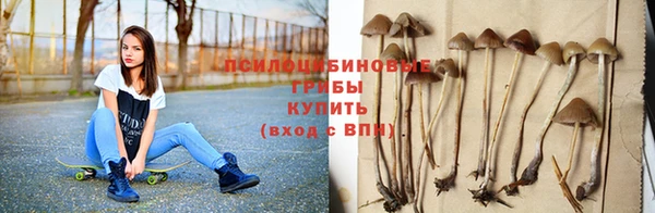 mix Богородск