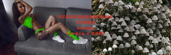 молекула духа Бугульма